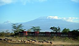 Mt Kilimanjaro From Amboseli